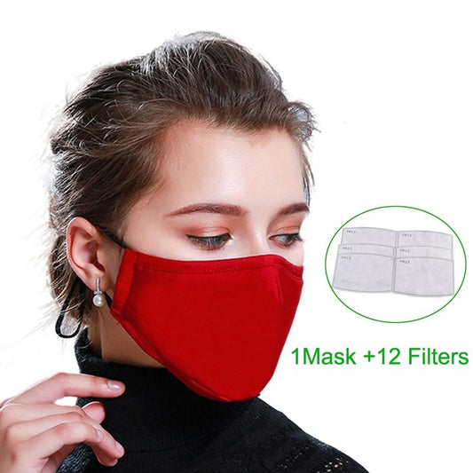 Masque avec filtre lavable + 12 filtres PM 2.5