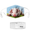 Masque anti virus cochon